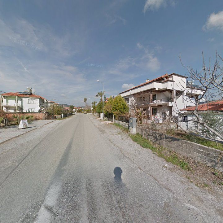 Fotoğraf 7