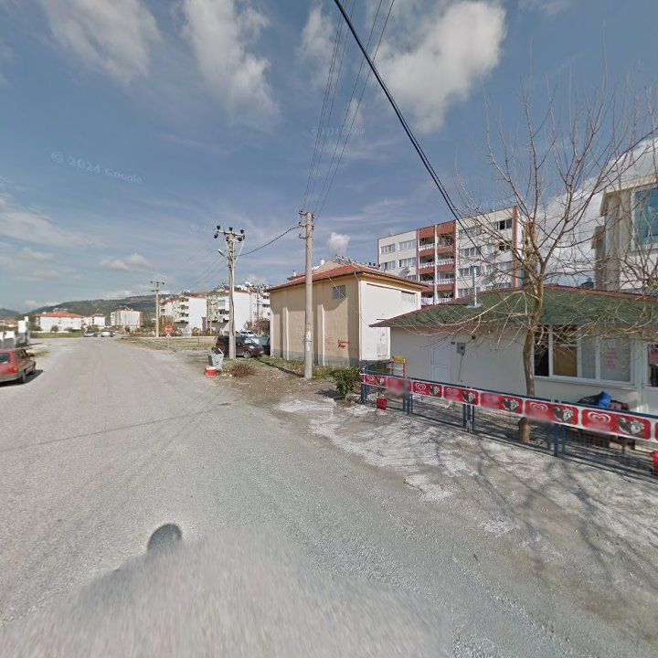 Fotoğraf 6