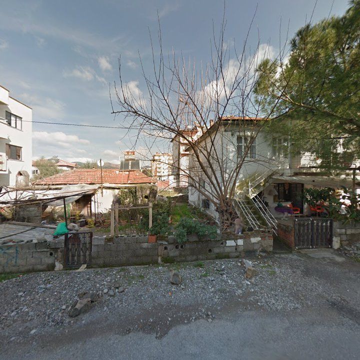 Fotoğraf 8