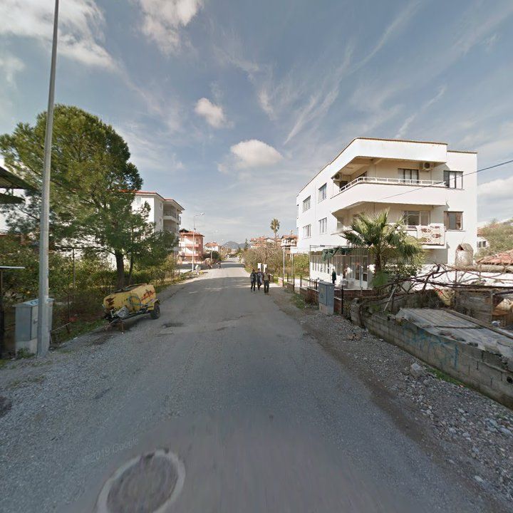 Fotoğraf 7