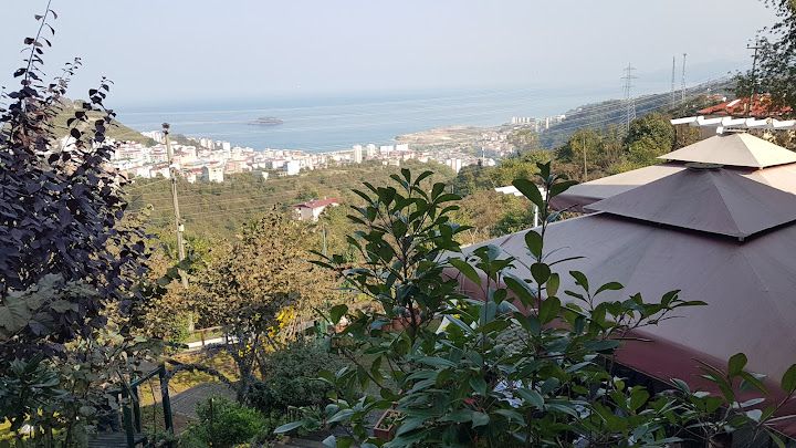 Yorum fotoğrafı 3