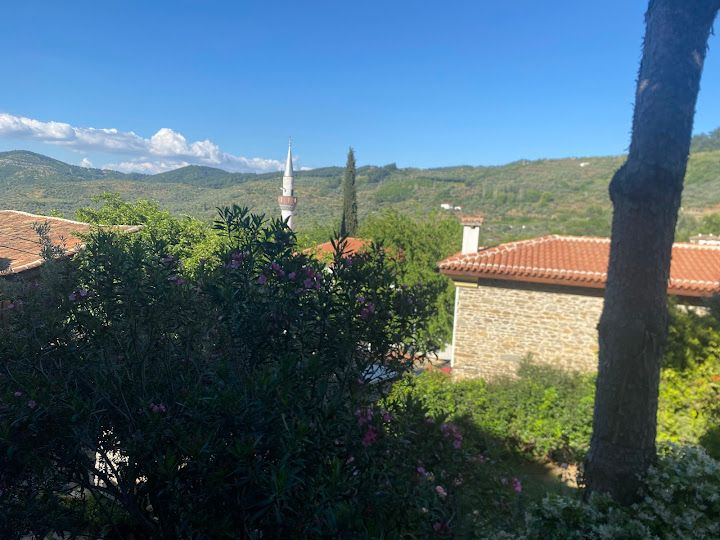Fotoğraf 16
