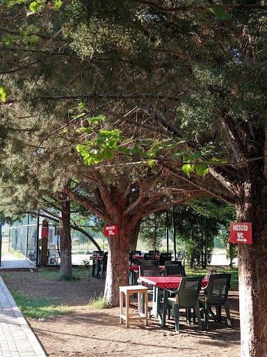 Yorum fotoğrafı 3