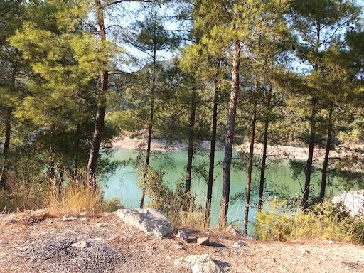 Yorum fotoğrafı 3