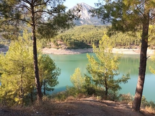 Yorum fotoğrafı 4