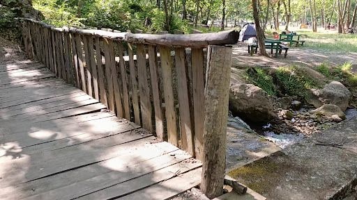 Yorum fotoğrafı 10
