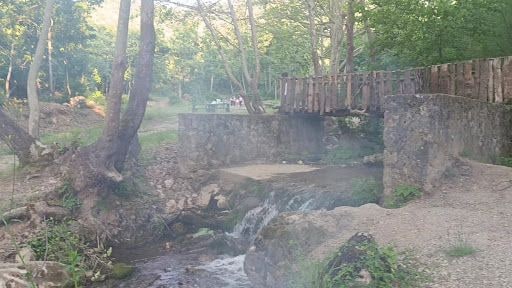 Yorum fotoğrafı 5