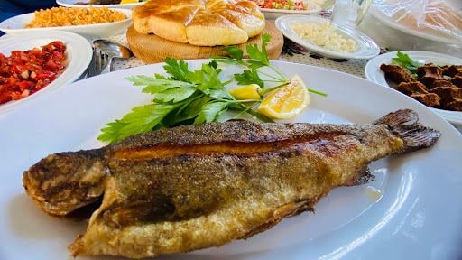 Yorum fotoğrafı 5