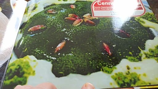 Yorum fotoğrafı 10