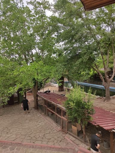 Yorum fotoğrafı 9
