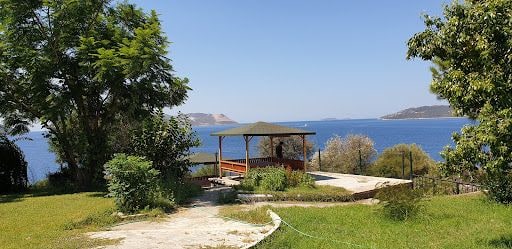 Yorum fotoğrafı 4