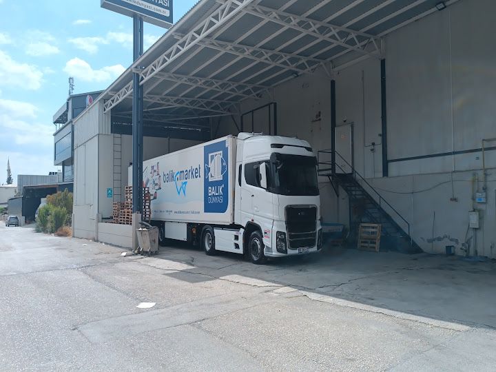 Balık Dünyası - Soğuk Hava Deposu Ve İşleme Tesisi