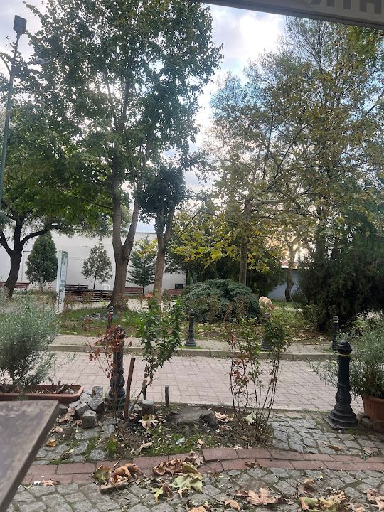 Fotoğraf 2