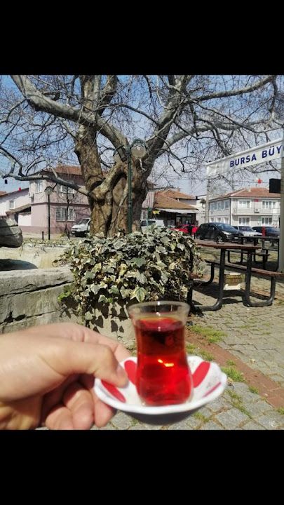 Yeniceabat Aile Çay Bahçesi
