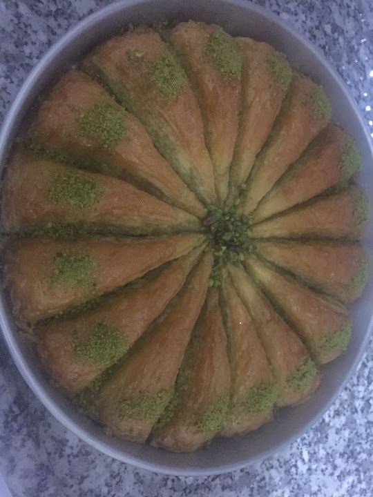 Fotoğraf 14
