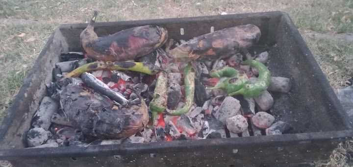 Fotoğraf 22