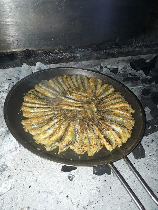Fotoğraf 16