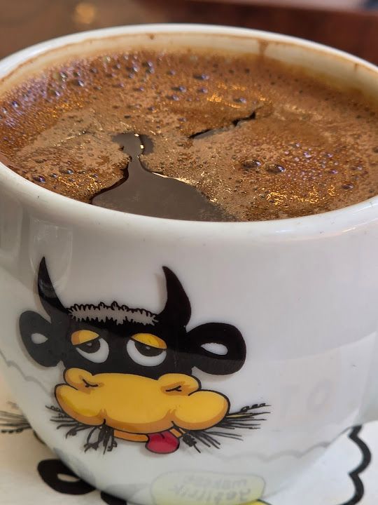 Fotoğraf 32