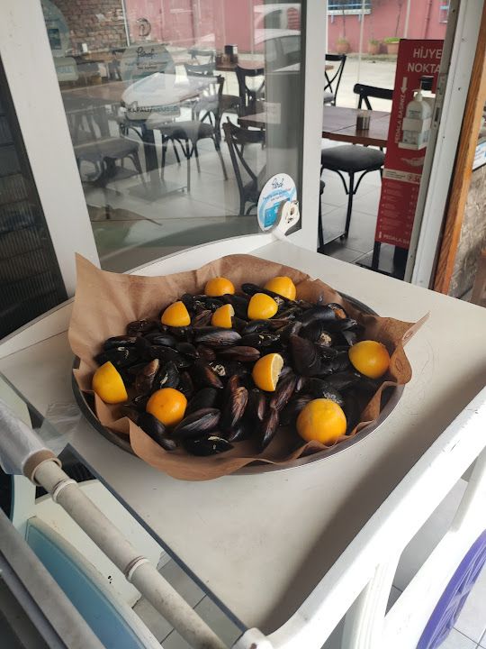 Fotoğraf 11