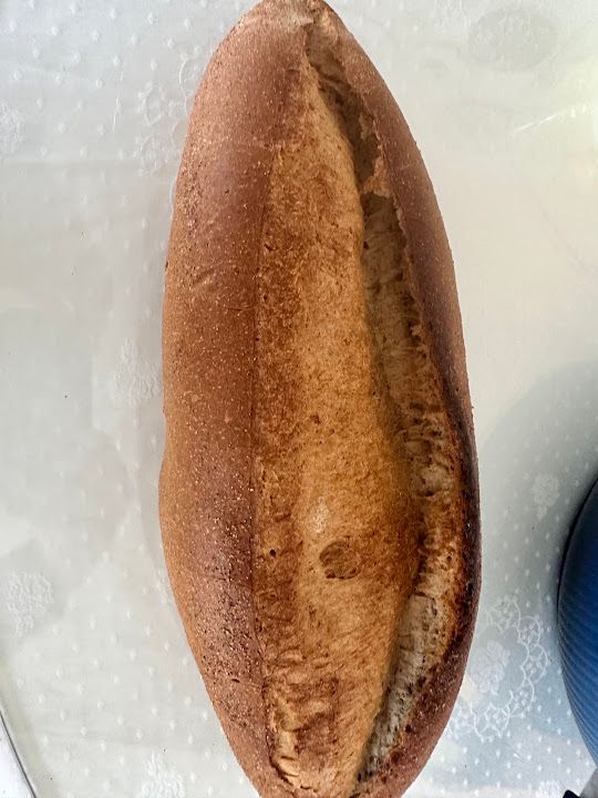 Fotoğraf 15