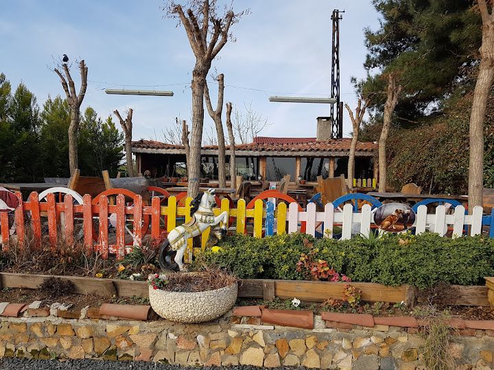 Fotoğraf 59