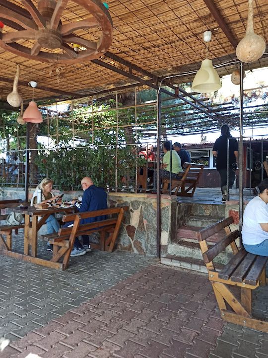 Fotoğraf 31