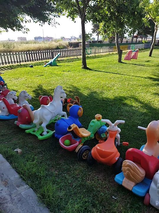 Fotoğraf 21