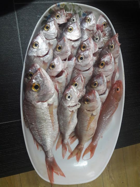 Fotoğraf 20