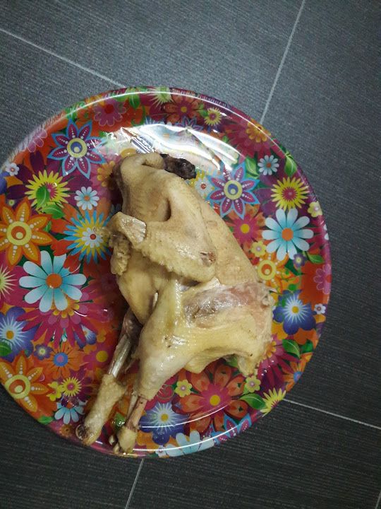 Fotoğraf 14