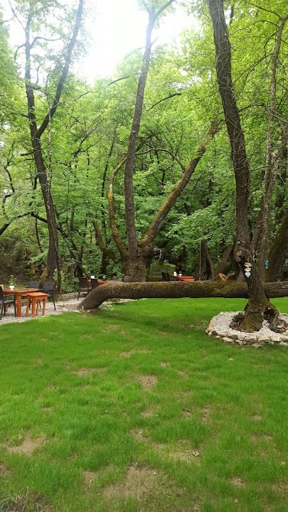 Fotoğraf 22