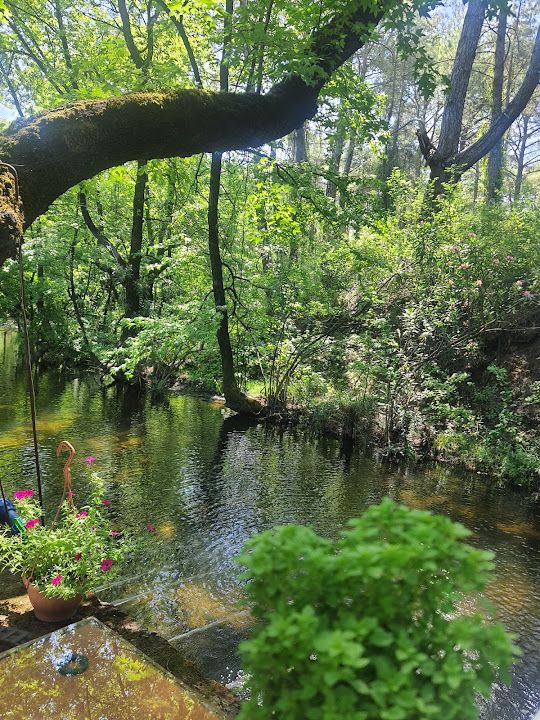 Fotoğraf 42