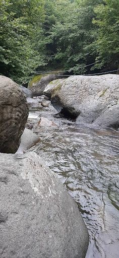 Fotoğraf 18