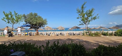 Yorum fotoğrafı 9