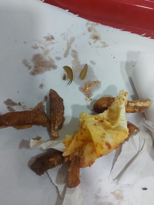 Fotoğraf 21