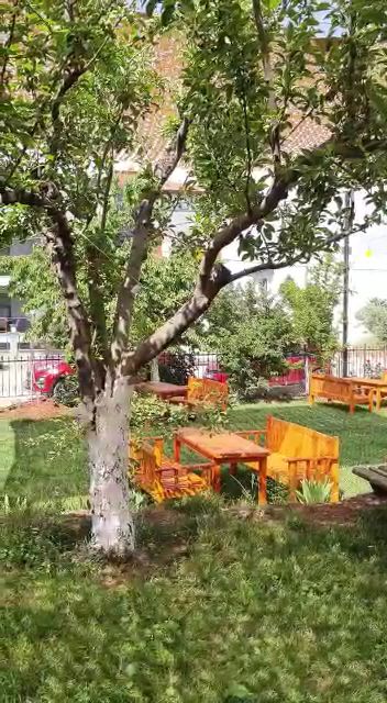 Fotoğraf 30