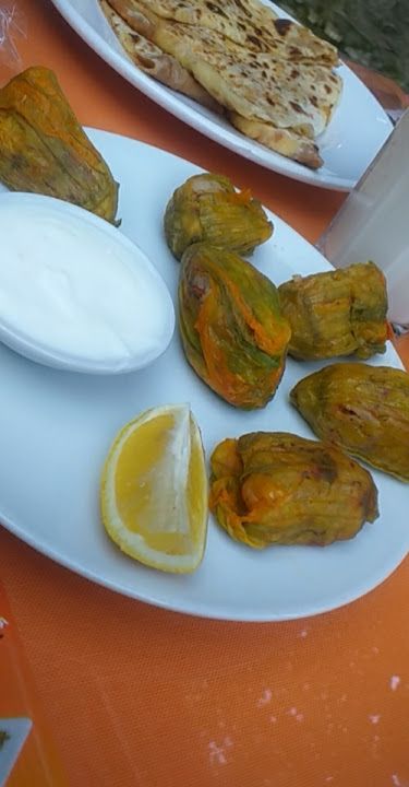 Fotoğraf 30