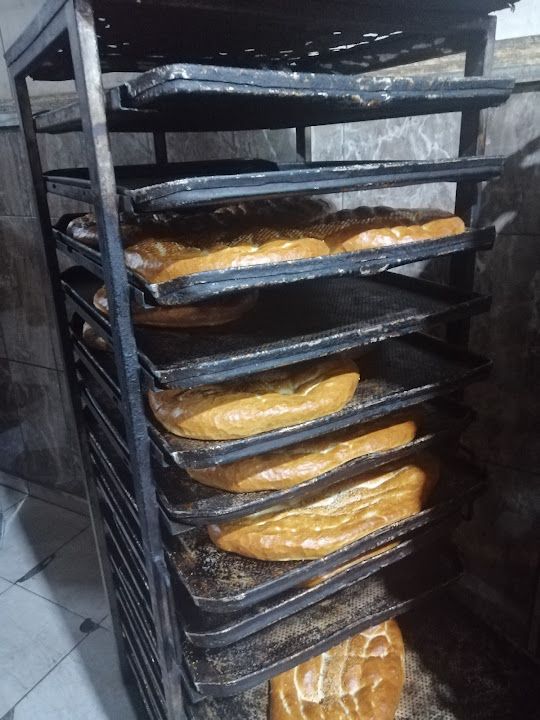 Fotoğraf 11