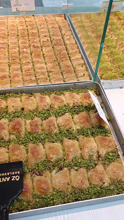 Fotoğraf 14