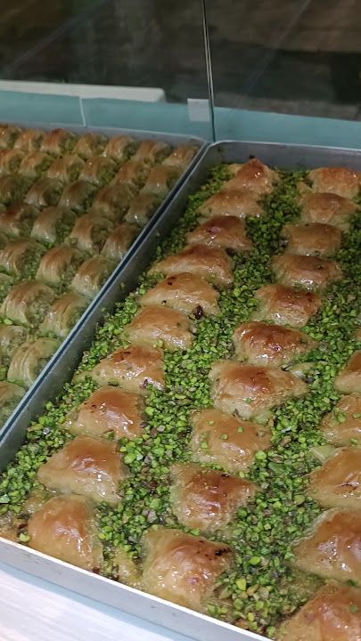 Fotoğraf 13