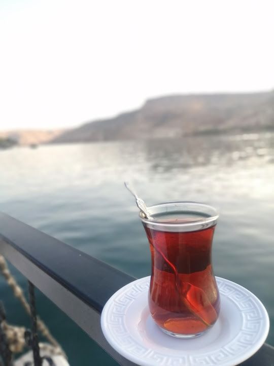 Fotoğraf 14