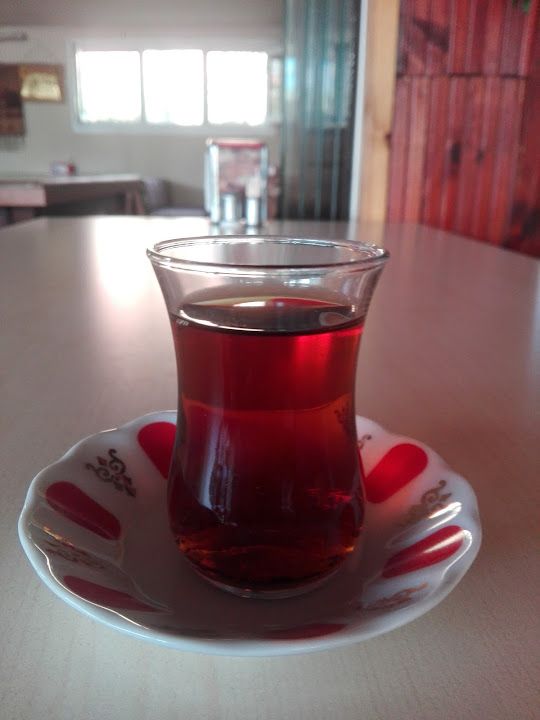 Fotoğraf 16