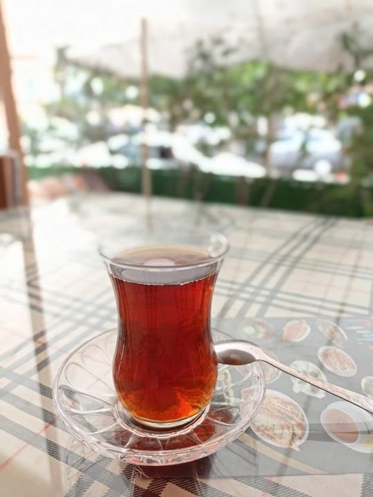 Fotoğraf 12