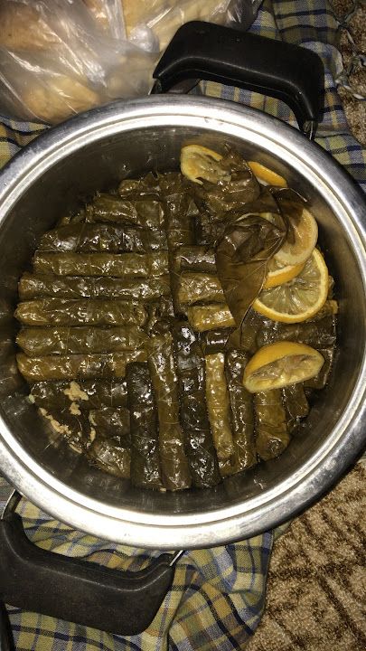 Fotoğraf 16