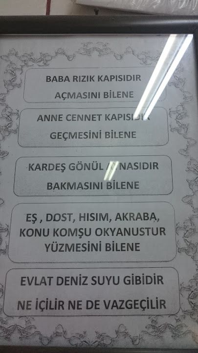 Fotoğraf 14