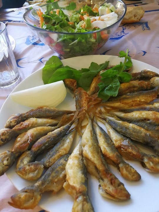 Fotoğraf 12