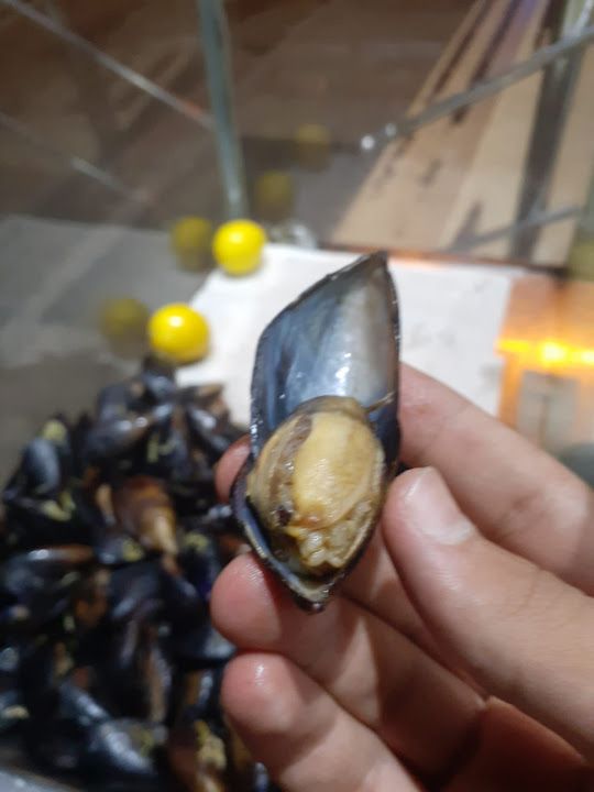 Fotoğraf 15