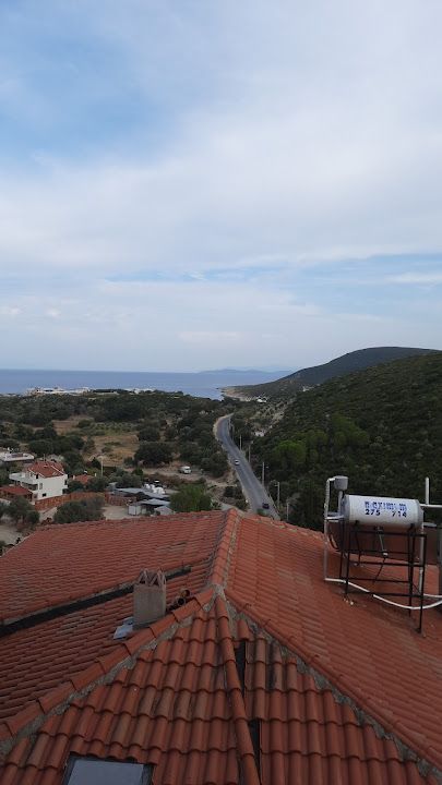 Fotoğraf 46