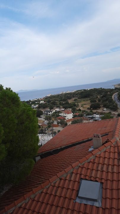 Fotoğraf 47