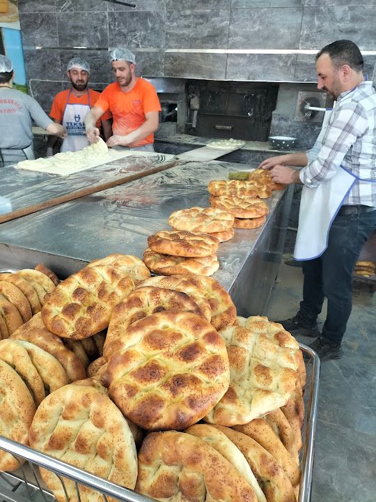 Fotoğraf 15