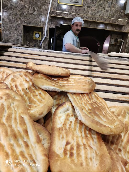 Fotoğraf 12